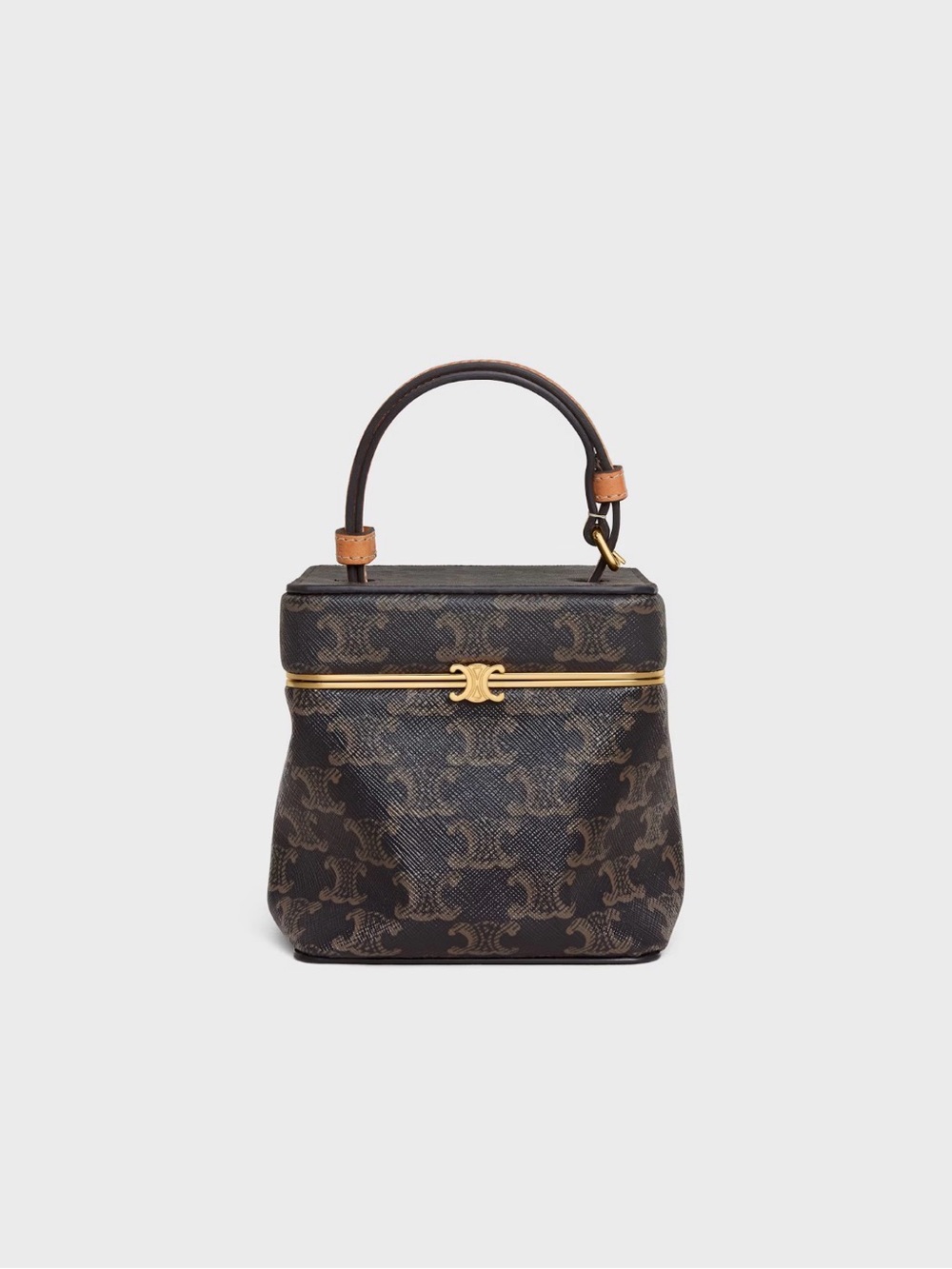 Celine cube frame bag in Triomphe Canvas